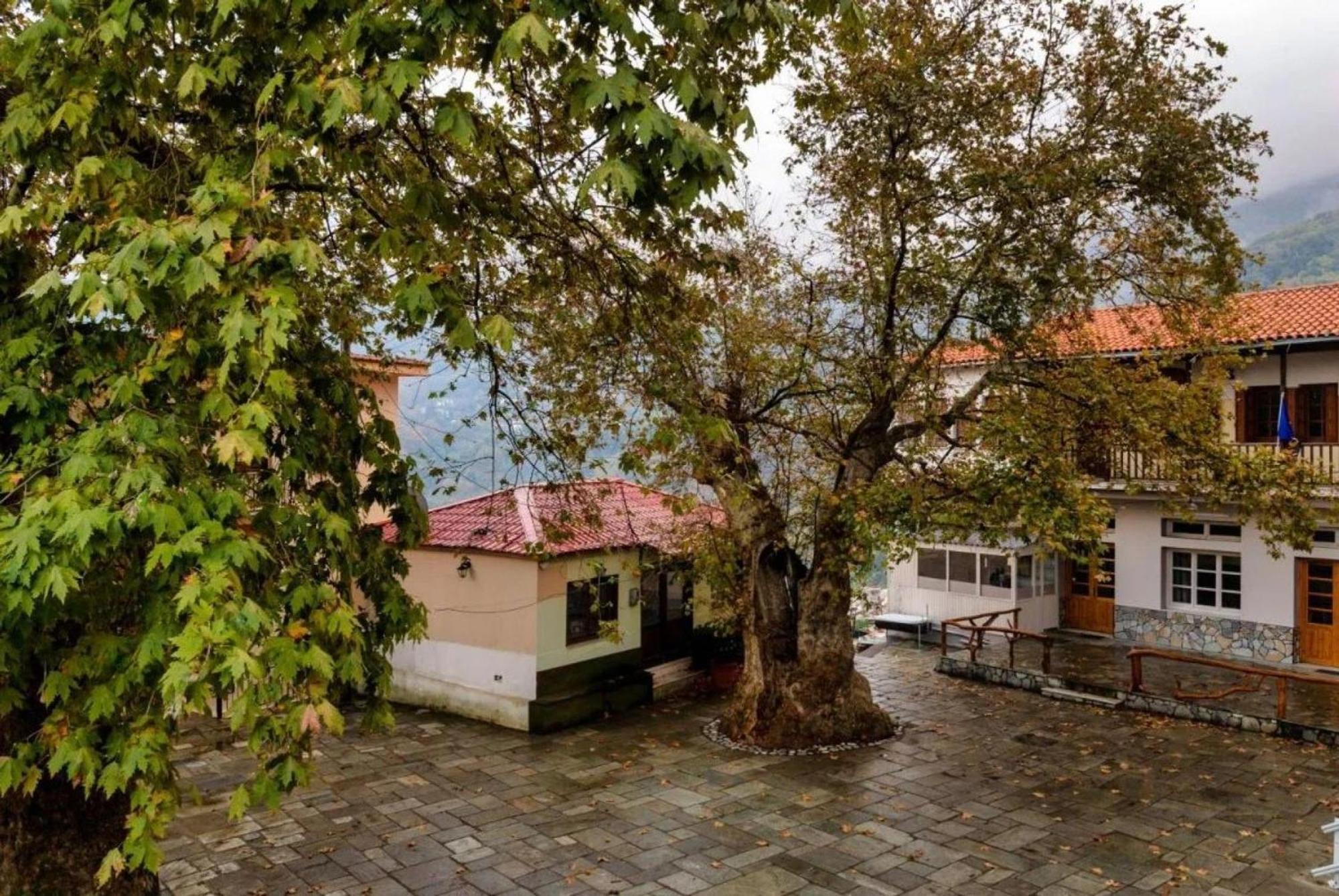 Ferienwohnung Hara'S House Pelion Makrirrákhi Exterior foto
