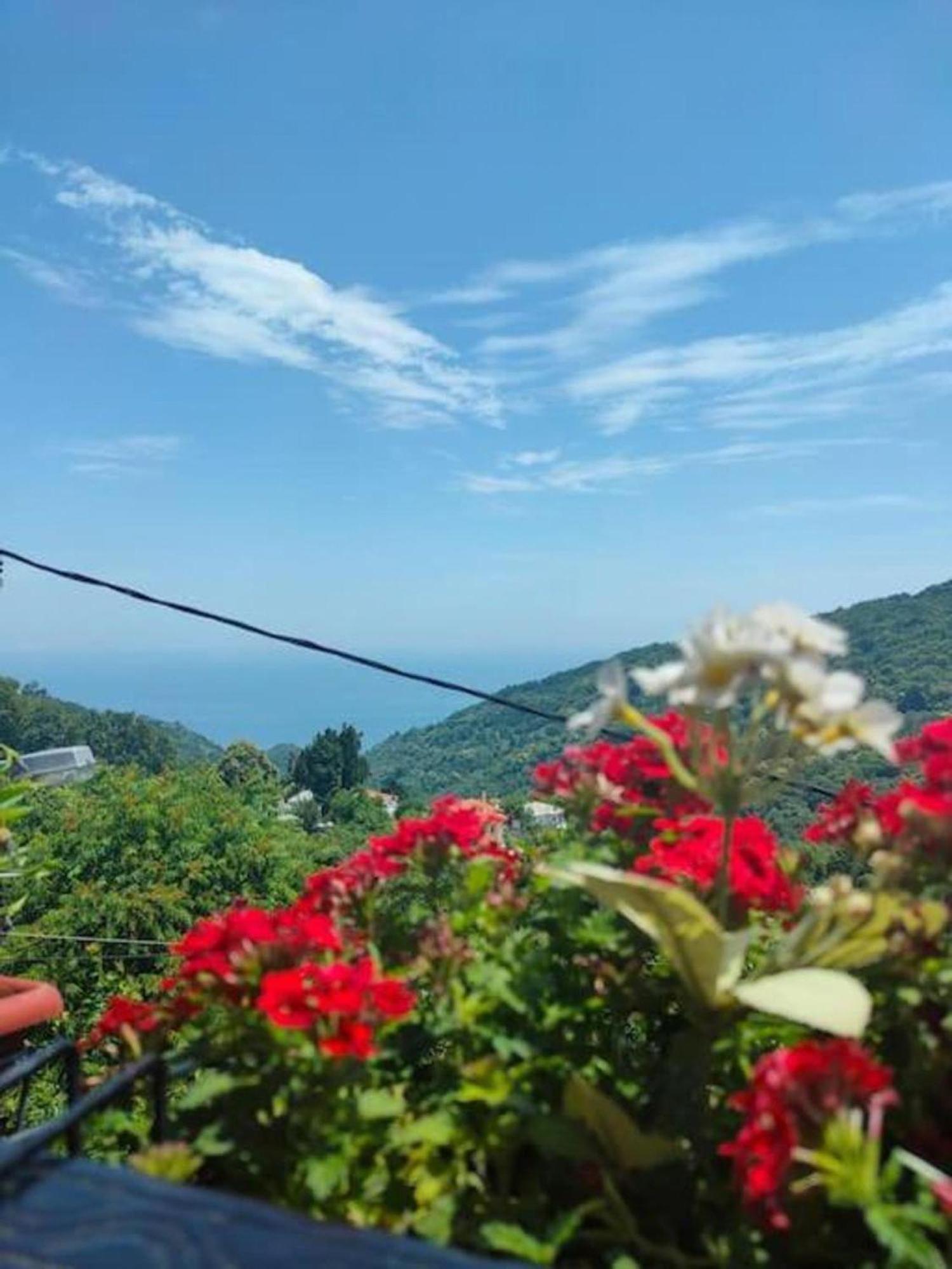 Ferienwohnung Hara'S House Pelion Makrirrákhi Exterior foto