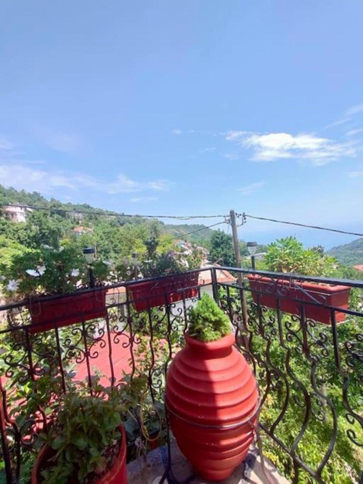 Ferienwohnung Hara'S House Pelion Makrirrákhi Exterior foto