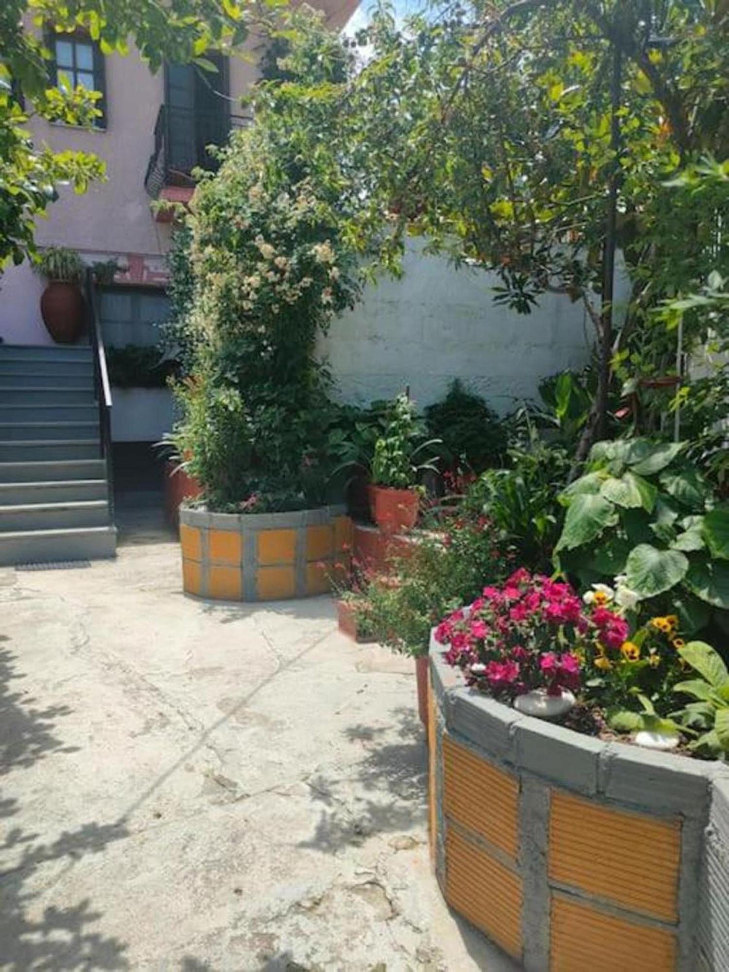 Ferienwohnung Hara'S House Pelion Makrirrákhi Exterior foto